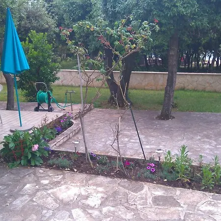 דירה Basic פטרצ'אנה