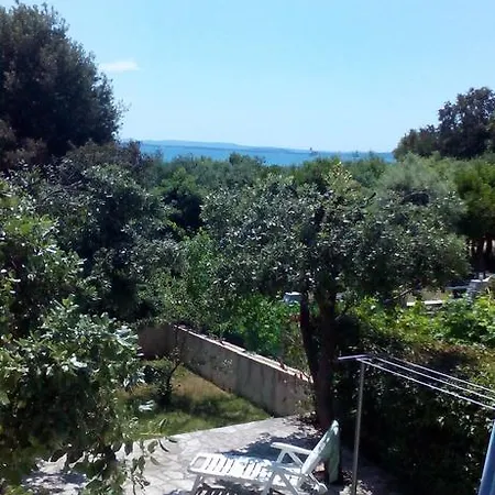 Basic * פטרצ'אנה