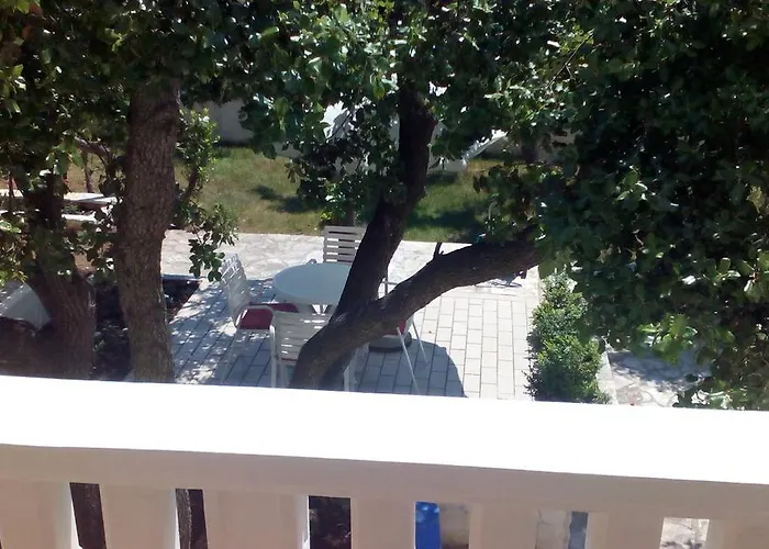 Basic 돈제페트레케인