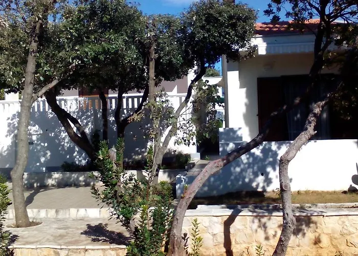 Basic * Петрчане