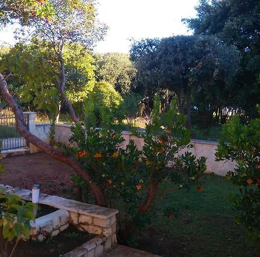 Basic Петрчане