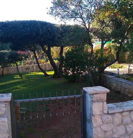 Basic * 佩特坎内