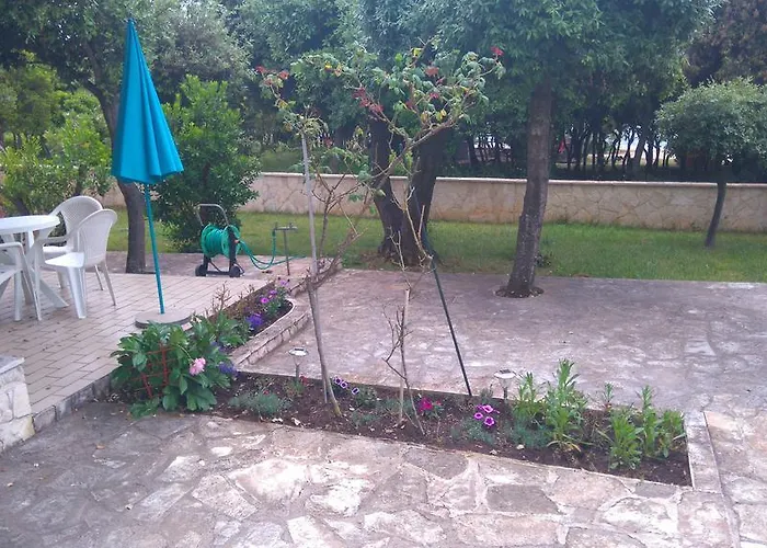 Appartement Basic Petrcane