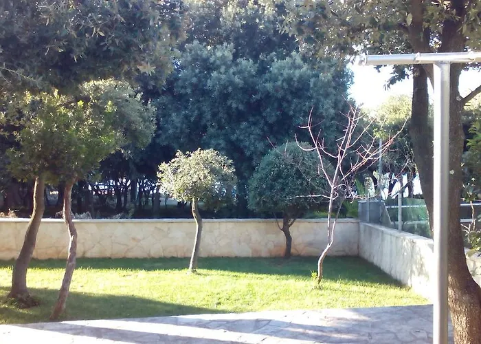 Appartement Basic Petrcane